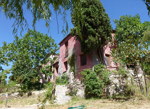 fixer upper