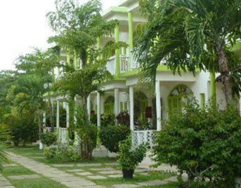 tropical house